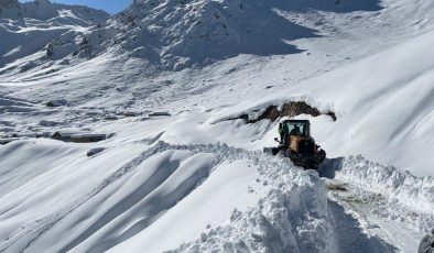 Artvin’de kar sebebiyle yaylada mahsur kalan 5 kişi kurtarıldı