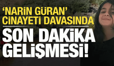 Narin Güran cinayeti soruşturmasında son dakika gelişmesi!