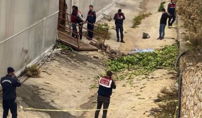 Alanya'da muz serasında kasanın halatı koptu: 2 ölü, 2 ağır yaralı | Son dakika haberleri