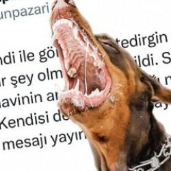 Şikayet edilen köpeği yine aynı yere bıraktılar! CHP'li belediye kanunu çiğnedi