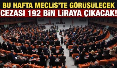 Bu hafta Meclis’te görüşülecek: Cezası 192 bin liraya çıkacak!