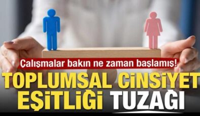 Çalışmalar bakın ne zaman başlamış! Toplumsal cinsiyet eşitliği tuzağı