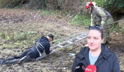 Millet bahçesinde yürürken neye uğradığını şaşırdı… Yardım çağrısını duyanlar hiçbir şey yapamadı: Ne yapacağımızı bilemedik