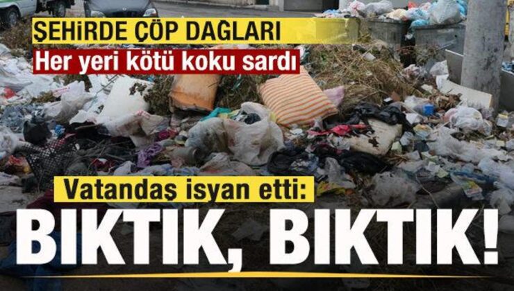 Şehirde çöp dağları oluştu! Her yeri koku sardı! Vatandaş isyan etti: Bıktık, bıktık…