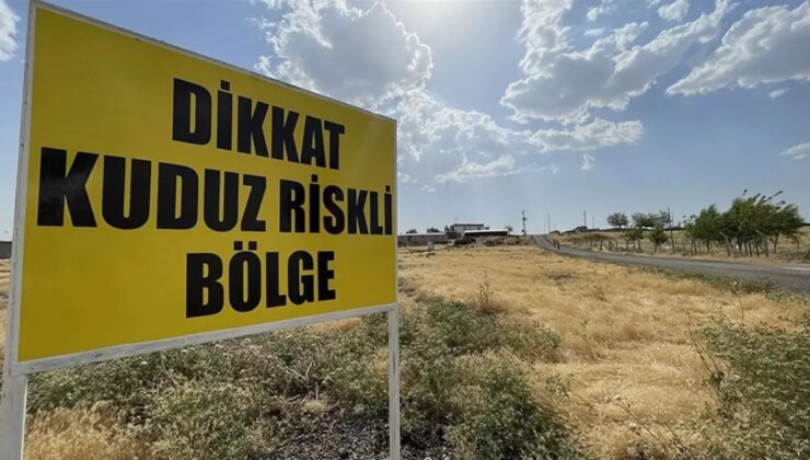 Elazığ’da 9 yaşındaki çocuk kuduzdan hayatını kaybetti