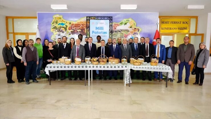 Tokat Üniversitesi Üreticilere 20 Ton Patates Tohumu Dağıttı